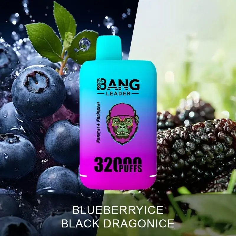 Colorful vape device labeled 'Bang Leader' with a gradient blue to pink body, placed in front of a split background showing fresh blueberries with water droplets on the left and black mulberries on the right, with text 'Blueberry Ice Black Dragon Ice' beneath it.