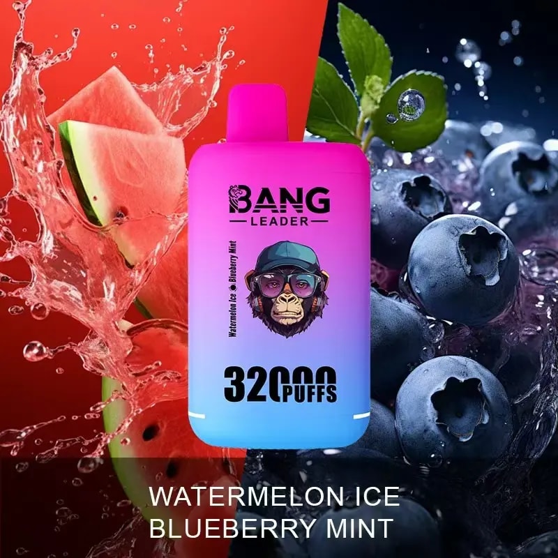 A pink and blue gradient disposable vape device labeled 'BANG LEADER 3200 PUFFS' positioned at the center with a splash of watermelon on the left and blueberries with mint leaves on the right, representing the flavor Watermelon Ice Blueberry Mint.