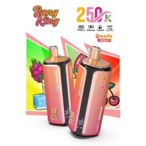 Two pink and black vape devices standing side by side with colorful geometric background and "Bang King" branding.