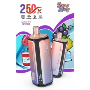 Two gradient rectangular vaping devices with rose gold tops, black bases, and subtle branding, set against a colorful background with fruit graphics and the text “250” and “Bang King” at the top.