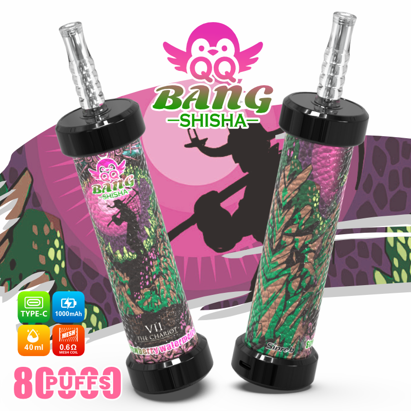 Two Bang Shisha vape devices with colorful patterned tubes and a pink “Bang-Shisha” graphic logo