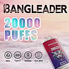 Bangleader brand advertisement showcasing a disposable vape device with '20000 PUFFS' highlighted in large gradient text, featuring a red and purple device labeled 'Blueberry Raspberry' with a tiger graphic, and icons indicating 28ml e-liquid, Type-C charging, 650mAh battery, and dual mesh coil technology against a soft pink background.