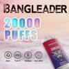 Bangleader brand advertisement showcasing a disposable vape device with '20000 PUFFS' highlighted in large gradient text, featuring a red and purple device labeled 'Blueberry Raspberry' with a tiger graphic, and icons indicating 28ml e-liquid, Type-C charging, 650mAh battery, and dual mesh coil technology against a soft pink background.