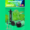 BangKing E-Shisha vape setup with a “BANGKING – SHISHA” banner, showing bottle, mouthpiece, coil, and e-shisha head