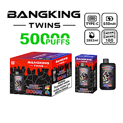 Bangking Twins disposable vape packaging and device featuring a skull design, advertised with 5000 puffs, Type-C charging, 650mAh battery, 28x2ml e-liquid capacity, and 1.0 ohm dual mesh coil, with flavors Peach Mango Watermelon and Blue Razz Cherry.
