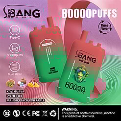 Two green and red gradient disposable vapes labeled S.BANG BANG LEADER with a monkey wearing sunglasses and text indicating 80,000 puffs and triple flavor options: kiwi guava, lychee ice, mango peach pineapple; icons show Type-C charging, dual mesh, and a warning about nicotine being addictive; background features abstract pink and green shapes.