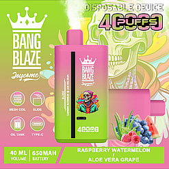 Pink and green gradient disposable vape device labeled Bang Blaze with a crown logo, featuring icons for mesh coil, slide, oil tank, and type-C charging, and a flavor description of raspberry watermelon and aloe vera grape alongside images of watermelon slices, aloe vera, grapes, blue berries, and raspberries, with a blurred skull wearing a colorful hoodie in the background and text indicating 4000 puffs, 40 ml volume, and 650 mAh battery.
