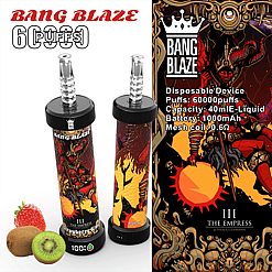 Two cylindrical vaping devices with black tops and artistic designs featuring a fiery figure, accompanied by a strawberry and kiwi fruit; the right side shows a colorful design with a crowned skeleton figure holding a sun, and product details about a disposable device with 60000 puffs, 40ml e-liquid capacity, 1000mAh battery, and 0.6 ohm mesh coil under the brand name Bang Blaze.