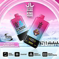 Two rectangular Bang King vape devices in pink and blue gradient colors with 50K puffs and dual flavor watermelon ice and blueberry cherry, set against a snowy mountain background with product logos and features like mesh coil, adjustable airflow, and digital display icons.