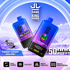 Two blue and purple gradient disposable vape devices labeled Bang King with dual flavor blueberry raspberry mixed berry, showing 50K puffs, depicted against a light blue sky and snow-capped mountains background, highlighting features like mesh coil, adjustable airflow, and digital display.