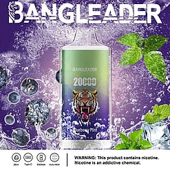 BANGLEADER vape device with a tiger logo labeled '20000 puffs' and 'Blueberry Mint' flavor, surrounded by blueberries, mint leaves, and ice cubes with water bubbles, alongside a nicotine warning.