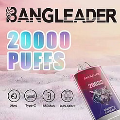 Bangleader brand advertisement showcasing a disposable vape device with '20000 PUFFS' highlighted in large gradient text, featuring a red and purple device labeled 'Blueberry Raspberry' with a tiger graphic, and icons indicating 28ml e-liquid, Type-C charging, 650mAh battery, and dual mesh coil technology against a soft pink background.