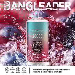 BANGLEADER disposable vape device labeled '20000 puffs' and 'Mix Fruit' with a roaring tiger logo, set against a backdrop of mixed berries and water splash, featuring product specifications and a nicotine warning below.