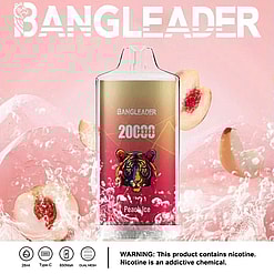 BANGLEADER disposable vape device with 20,000 puffs in peach ice flavor, featuring a colorful tiger illustration on a pink background with splashing water and peach slices, includes nicotine warning and product specifications icons.