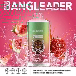 BANGLEADER disposable vape device with a tiger logo, labeled for 20000 puffs and strawberry watermelon flavor, surrounded by splashing water with strawberry and watermelon pieces on a pink background, including a nicotine warning and icons showing 28ml capacity, Type-C charging, 650mAh battery, and dual mesh coil.
