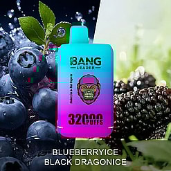 Colorful vape device labeled 'Bang Leader' with a gradient blue to pink body, placed in front of a split background showing fresh blueberries with water droplets on the left and black mulberries on the right, with text 'Blueberry Ice Black Dragon Ice' beneath it.