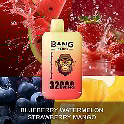 A Bang Leader disposable vape device labeled with blueberry watermelon strawberry mango flavor and 3200 puffs, placed in front of splashing images of watermelon, strawberry, blueberries, and mangoes on a red background.