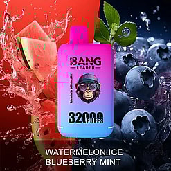 A pink and blue gradient disposable vape device labeled 'BANG LEADER 3200 PUFFS' positioned at the center with a splash of watermelon on the left and blueberries with mint leaves on the right, representing the flavor Watermelon Ice Blueberry Mint.