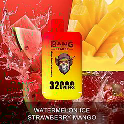 A bright gradient yellow to red vape device labeled 'BANG LEADER 32000 PUFFS' surrounded by splashes of watermelon, mango, and strawberries.