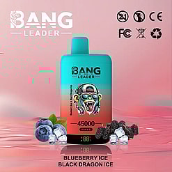 Bang Leader disposable vape device in turquoise and orange gradient with 45000 puffs capacity, placed between fresh blueberries with ice cubes and black mulberry fruits with ice cubes on a reflective pink surface, featuring product name Blueberry Ice Black Dragon Ice.
