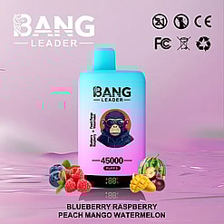 Gradient blue to pink Bang Leader device with a blurred face illustration on the front, surrounded by images of blueberries, raspberries, mango, and watermelon, with text indicating 45000 puffs and fruit flavors listed below on a purple background.