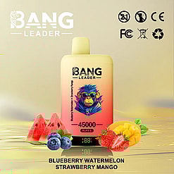 A Bang Leader disposable vape device with 45000 puffs capacity, featuring blueberry, watermelon, strawberry, and mango flavors, surrounded by wedges of watermelon, blueberries, strawberries, and mango slices on a reflective surface.