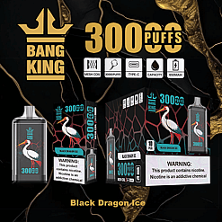 Bang King disposable vape device and packaging featuring a white heron illustration, black dragon ice flavor, 300 puffs, mesh coil, type-C charging, 650mAh capacity, with nicotine warning labels