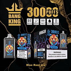 Bang King vape product packaging featuring the Blue Razz Ice flavor with a colorful bear illustration, highlighting 3000 puffs, mesh coil, type-C charging, liquid capacity, and 650mAh battery, along with nicotine addiction warning labels.
