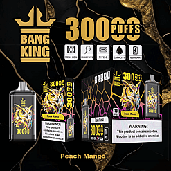 Bang King brand disposable vape device and packaging featuring a colorful owl illustration and labeled '3000 puffs' with peach mango flavor, mesh coil, Type-C charging, and 650mAh capacity; nicotine warning displayed.