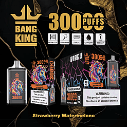 Bang King branded vape device and packaging featuring a colorful unicorn design and strawberry watermelon flavor, with icons indicating mesh coil, 30000 puffs, Type-C charging, liquid capacity, and 650mAh battery, accompanied by nicotine warning labels.