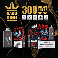 Bang King vape device and packaging featuring a colorful rooster design and labeled for 300 puffs, triple berry ice flavor, mesh coil, type-C charging, 650mAh capacity, with nicotine warning labels on the boxes.