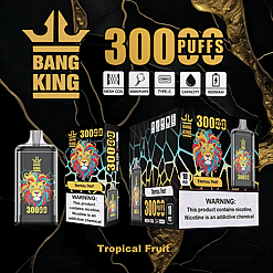 Bang King disposable vape device and packaging featuring a colorful lion graphic, labeled for 3000 puffs with tropical fruit flavor, mesh coil, Type-C charging, 650mAh capacity, and nicotine warning.