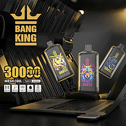 Three Bang King branded vape devices with colorful owl, wolf, and dragon designs floating above a laptop keyboard, with text highlighting 3000 puffs, mesh coil, Type-C charging, and 650 mAh capacity on a dark tech-themed background.