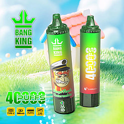 Two green gradient Bang King vape devices with text indicating 40000 puffs, set outdoors near a stylized house with a pink roof on grass beside a small reflective pond under a blue sky with fluffy white clouds.