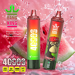 Two colorful disposable vape devices with gradient colors from red to green, labeled '4 PUFFS' and 'Watermelon', displayed in front of a splashing watermelon background, including Bang King branding and specifications such as 40000 puffs and 1000mAh battery.