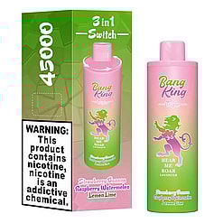 Pink and green gradient disposable vape device and its matching box with a pink lion logo and text showing 4500 puffs, 3 in 1 switch, flavor details including strawberry banana, raspberry watermelon, lemon lime, and a nicotine warning.