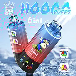 Two colorful disposable vaping devices floating above ice, featuring a blue-to-red gradient and an illustrated stern monkey, advertising 11000 puffs, 6-in-1 flavors with adjustable modes and flavor combination options.