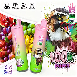 Two pink gradient Bang King vape bottles with a bird logo, 100K Puffs, against a colorful fruit collage.