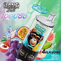 Colorful Bang Leader vape device with a clear bottle, surrounding fruit imagery, two digital dials at the base, and 4 flavors.