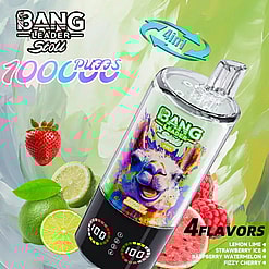 BANG Leader energy bottle with a colorful llama graphic, surrounded by lemons, limes, strawberries and watermelon; 4 flavors.