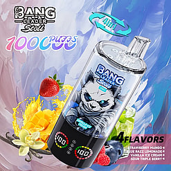 Bang Leader Stoli e-liquid bottle featuring a panda artwork and four flavors
