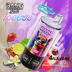 Colorful Bang Leader vape bottle featuring a rainbow llama wearing sunglasses and 4 flavors.