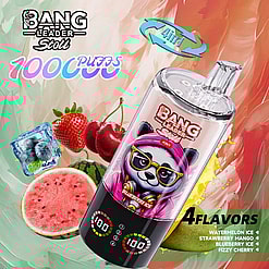 Colorful Bang Leader Stoll 4-in-1 vape ad with a central device and fruit imagery, promoting four flavors: watermelon ice, strawberry mango, blueberry ice, and fizzy cherry.