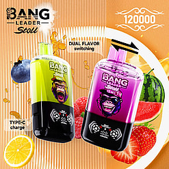 Two Bang Leader Stol bottles, lime green and pink, demonstrating dual flavor switching, surrounded by citrus and berries.