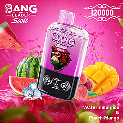 Bang Leader Stoll 2-in-1 bottle with a gorilla logo on a purple label, amid watermelon, mango, and peach fruits; Watermelon Ice & Peach Mango flavor.