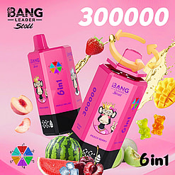 Two pink Bang Leader Stoll 6in1 drink bottles with a cartoon monkey; Peach Berry and Triple Melon flavors.