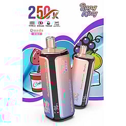 Two gradient rectangular vaping devices with rose gold tops, black bases, and subtle branding, set against a colorful background with fruit graphics and the text “250” and “Bang King” at the top.