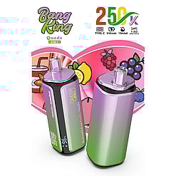 Two colorful smoothie-style blenders with purple-green gradient bodies, labeled Bang King Quads 4 in 1, set against a pink fruit-themed backdrop.