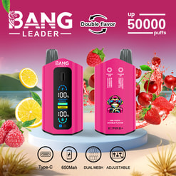 Two pink Bang Leader vape devices displayed on a white circular platform with a lakeside background, surrounded by raspberries, lemon slices, cherries, and strawberries, highlighting features such as double flavor, up to 50,000 puffs, Type-C charging, 650mAh battery, dual mesh, and adjustable settings.