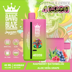 Dispositif de vape jetable gradient rose et vert étiqueté Bang Blaze avec un logo de la Couronne, avec des icônes pour la bobine en filet, le toboggan, le réservoir d'huile et la charge de type C, et une description de saveur de la pastèque de framboise et du raisin d'aloe vera aux côtés de tranches de pastèque, d'aloe vera, de raisins, de berries bleues et de textes, avec un skull blas